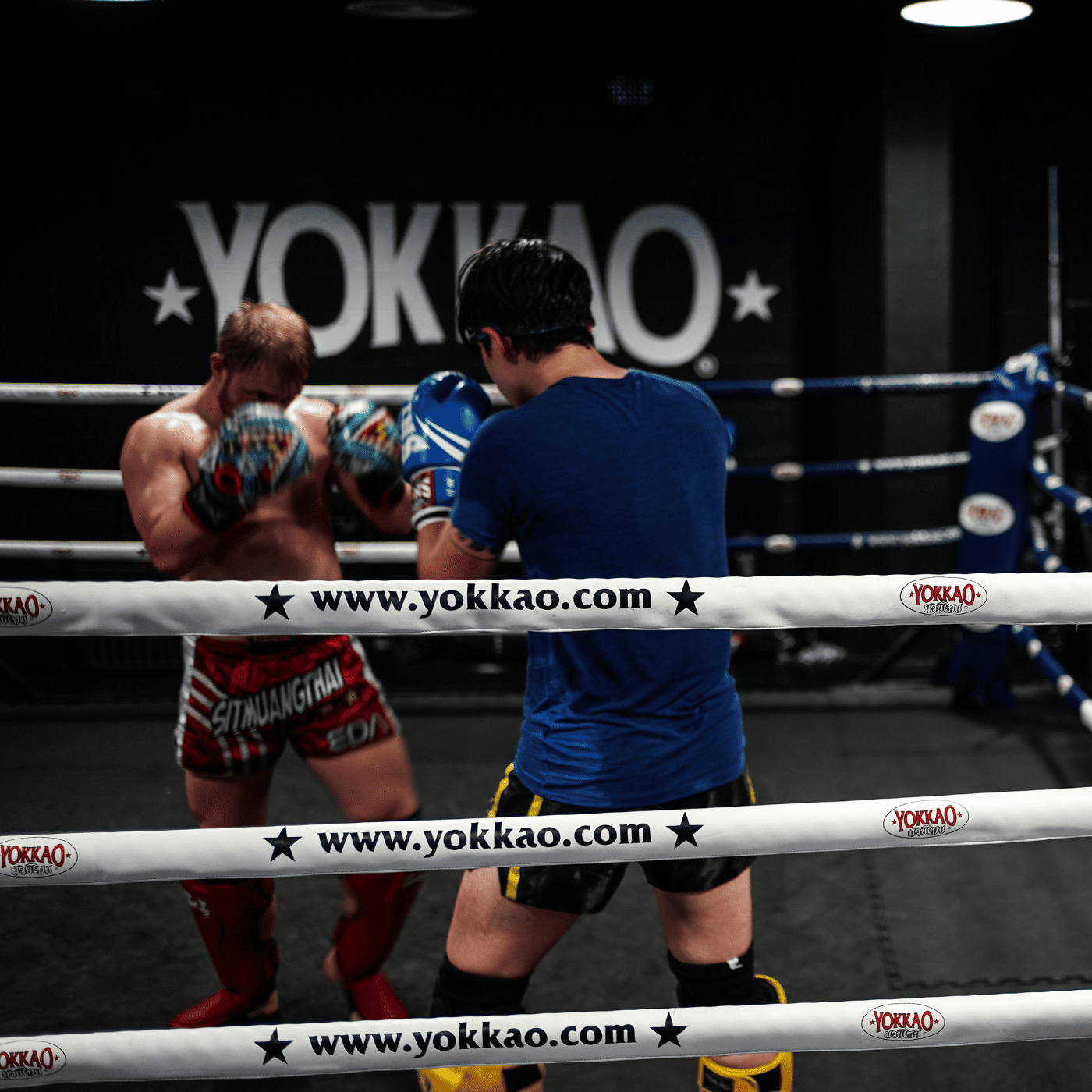 EDA Black Friday 3 Months Unlimited (Get a 4th Free)