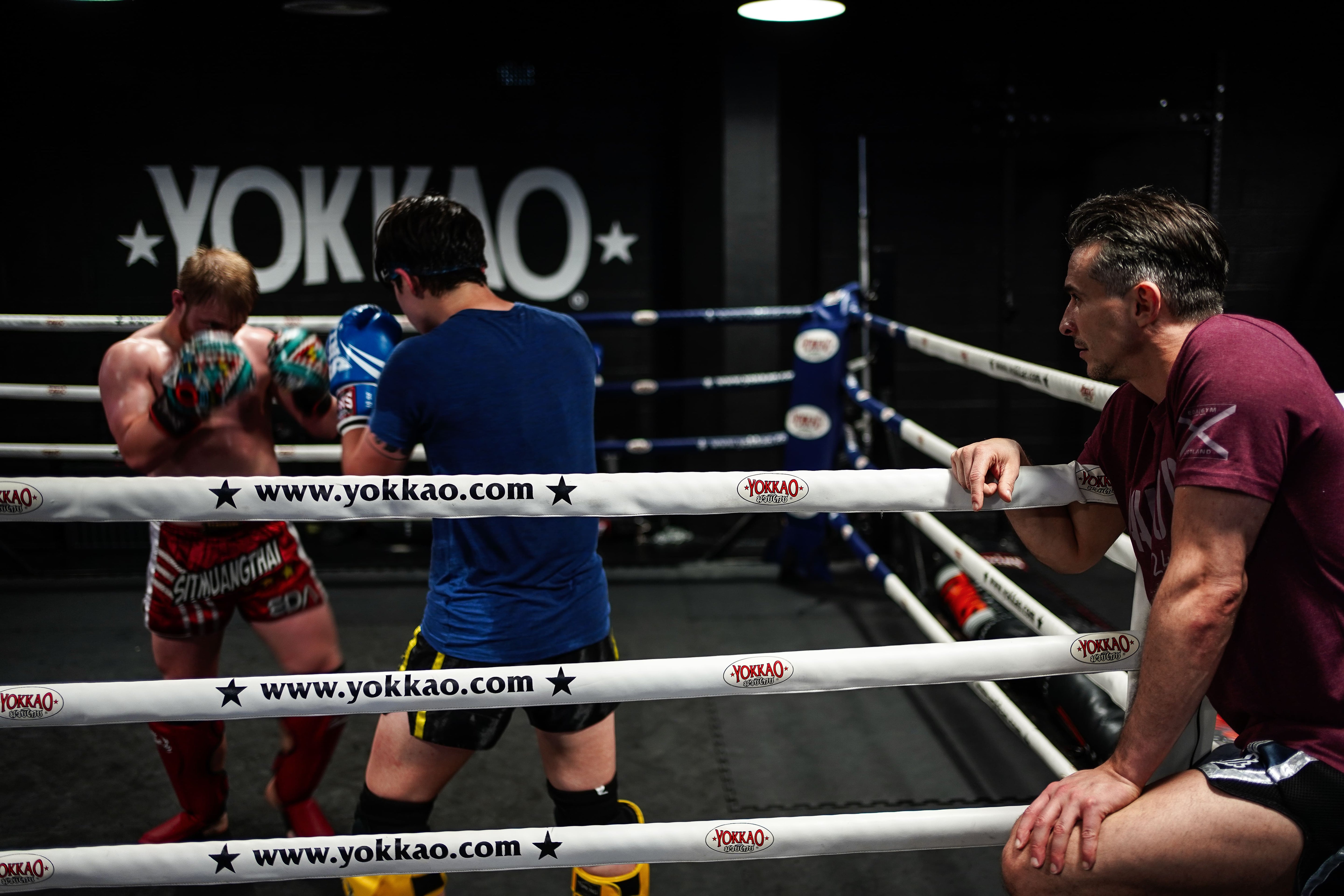 EDA Black Friday Year Plus Deal