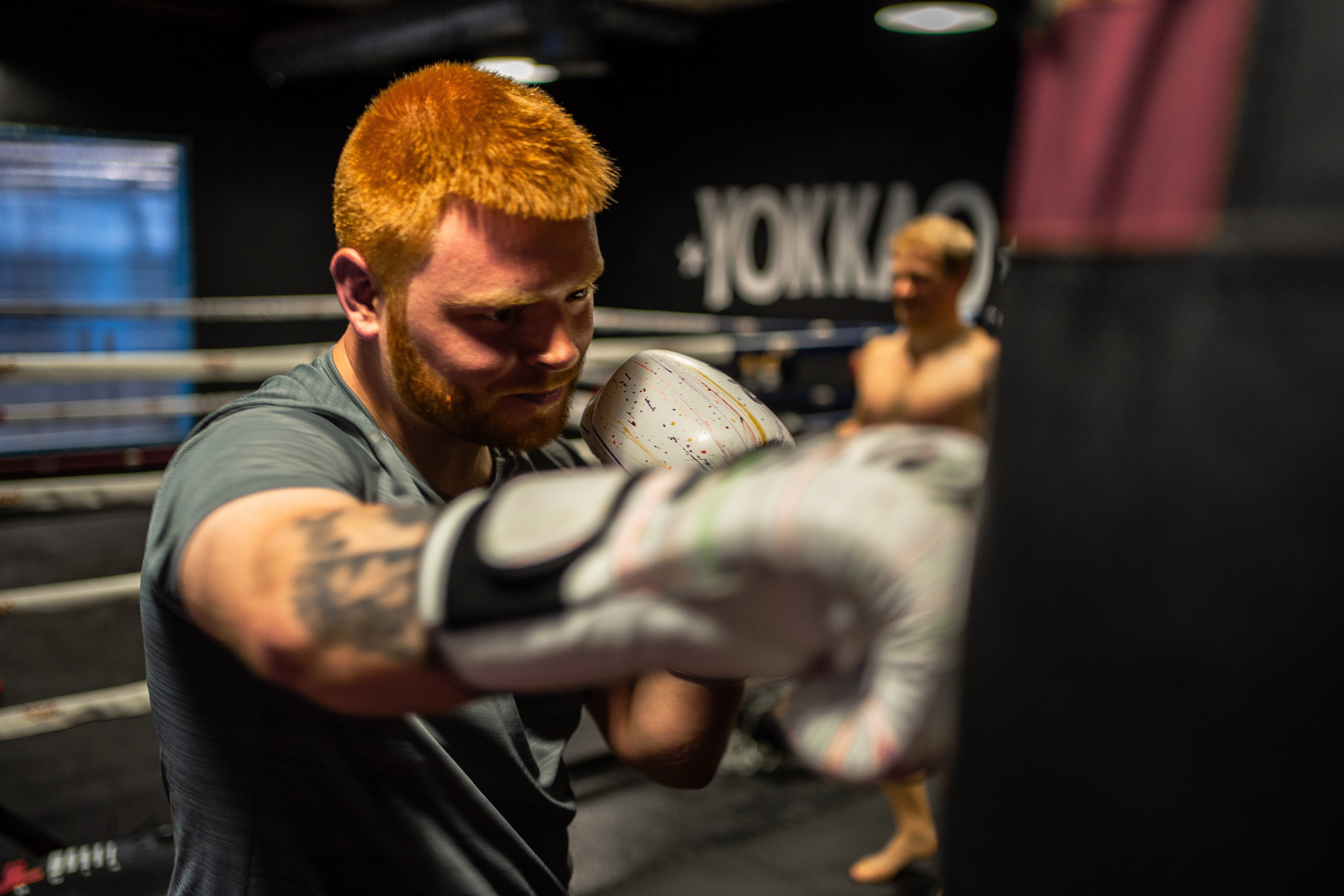 EDA Black Friday Year Plus Deal